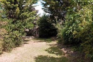 Garden- click for photo gallery